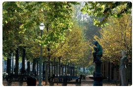 Parc de Bruxelles