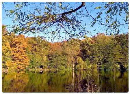 Parchi di Francoforte