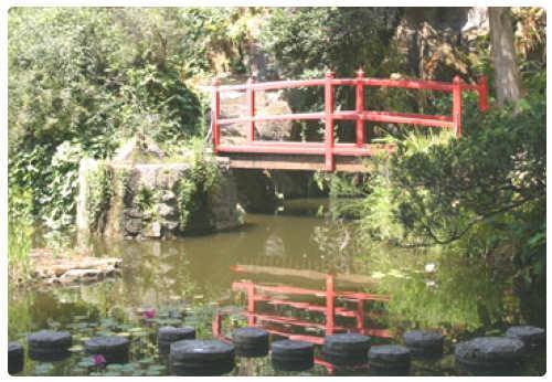 Chiesa di Notre-Dame des Pins