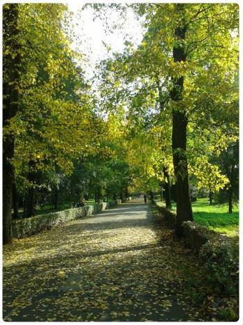 Parco delle Cascine a Firenze