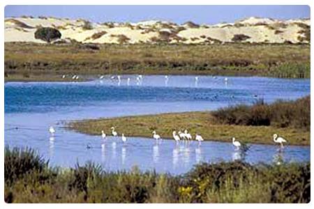 Parco Naturale della Baia di Cadice