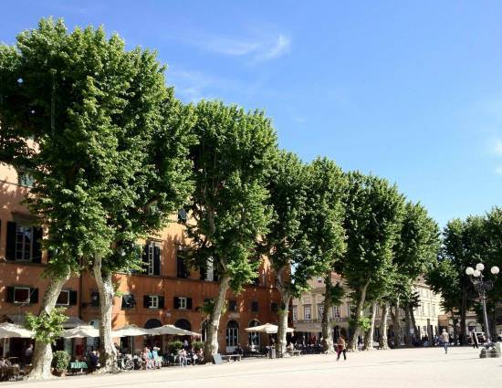 Piazza Napoleone - Lucca 