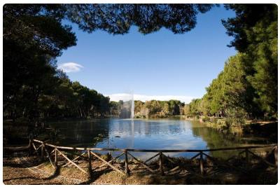 La Pineta Dannunziana 