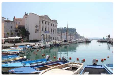 Acquario di Pirano