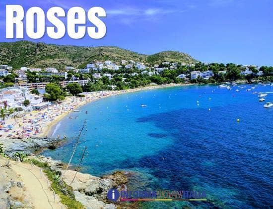 Roses - Panorama
