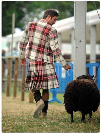 Royal Highland Show