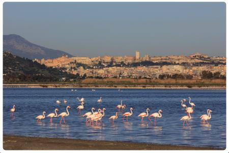 Quartu Sant'Elena