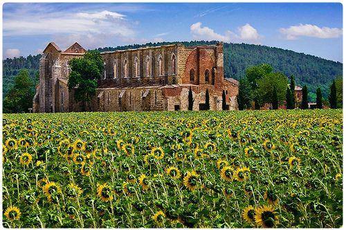 Basilica San Galgano