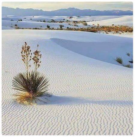 Dune di Piscinas