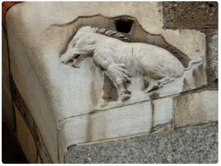 Scrofa simbolo di Milano - Palazzo della Ragione - Broletto - Milano