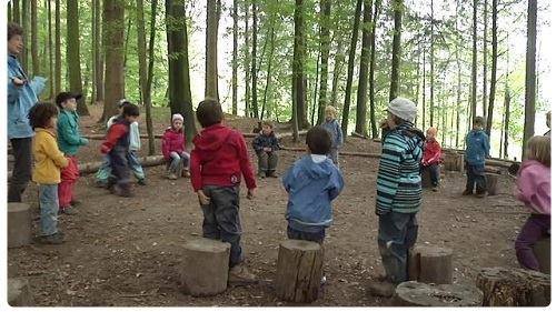 Pedagogia alternativa, la scuola nel bosco
