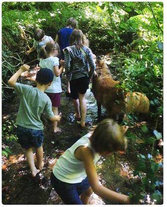 Scuola nella natura