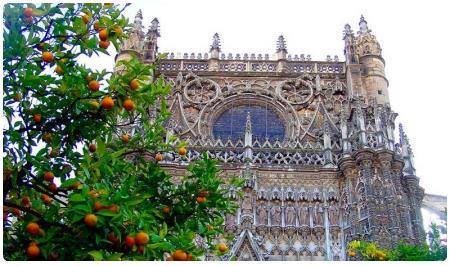 Siviglia con gli alberi di Arancio