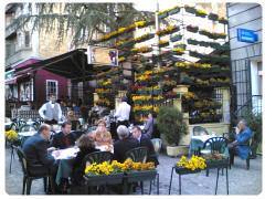 Quartiere di Skadarlija