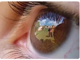 Soggiorni studio estero