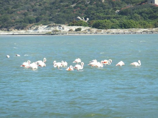 Fortezza e torre Vecchia di Villasimius