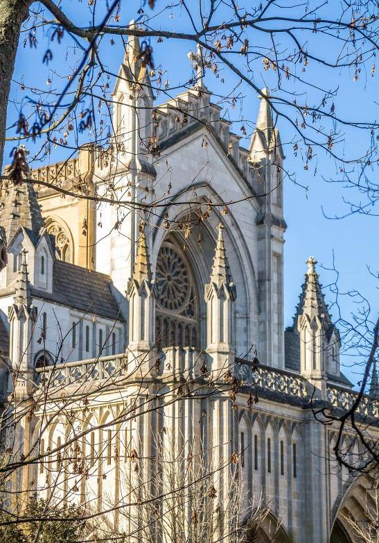 Storia di Vitoria Gasteiz