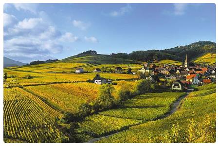 La strada del vino d'Alsazia