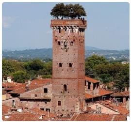 Torre Guinigi Lucca
