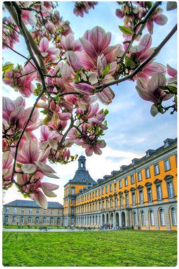 Università di Bonn
