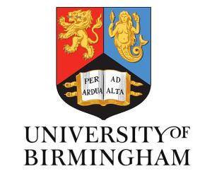 Università di Birmingham