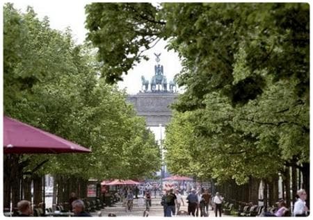 Unter den Linden - Viale dei Tigli