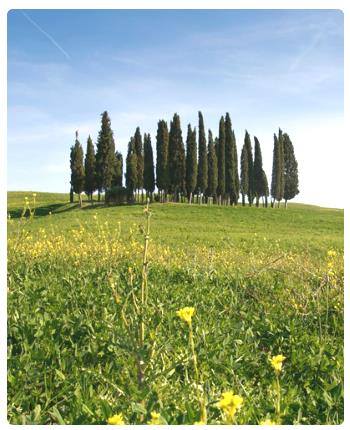 Chiesa Beccati Quello e Beccati Questo