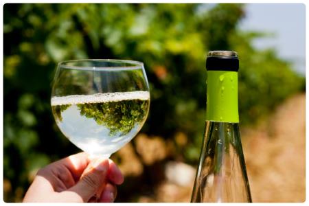 Vermentino