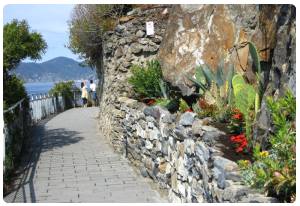 Riomaggiore - Via dell'Amore