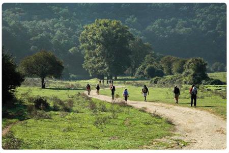 Via Francigena