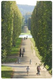 Scale della Reggia di Versailles