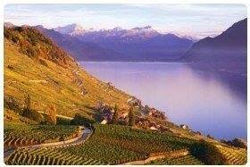Vigneti di Lavaux,