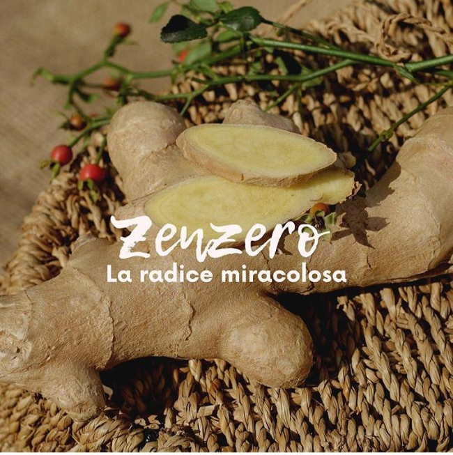 Zenzero, la radice miracolosa