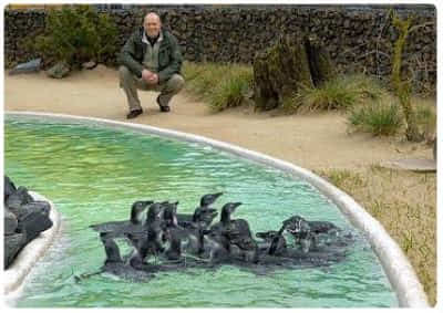 Zoo di Aquisgrana - Aachener Tierpark